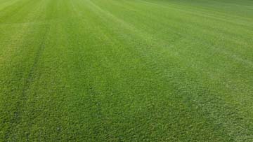 Seeded lawn turf in Plymouth, Torbay and Exeter
